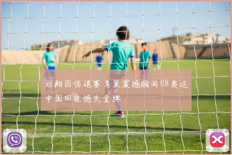 刘翔因伤退赛鸟巢震撼瞬间08奥运中国田径憾失金牌