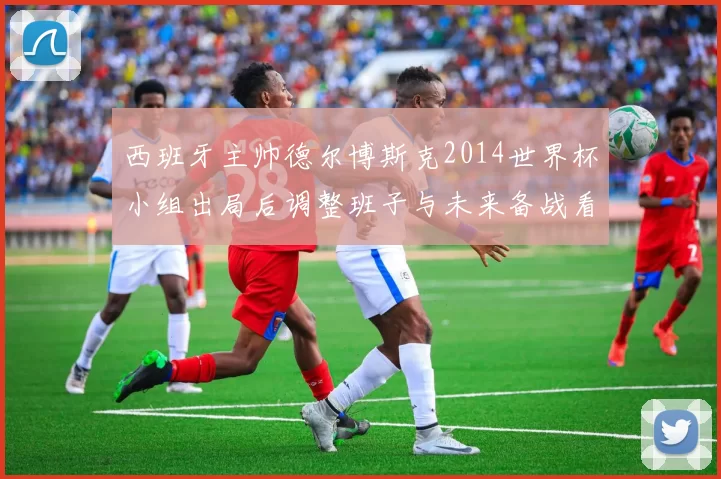西班牙主帅德尔博斯克2014世界杯小组出局后调整班子与未来备战看点