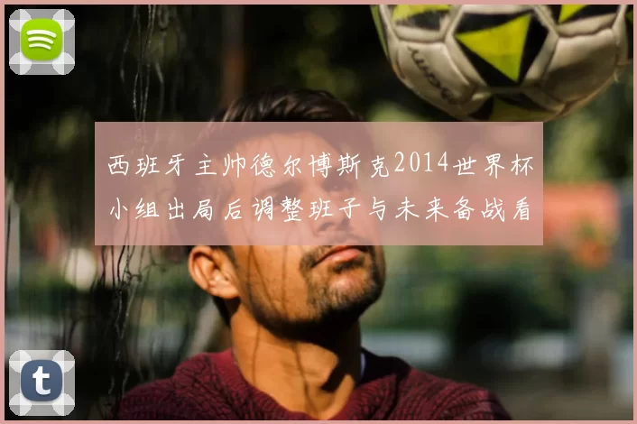 西班牙主帅德尔博斯克2014世界杯小组出局后调整班子与未来备战看点
