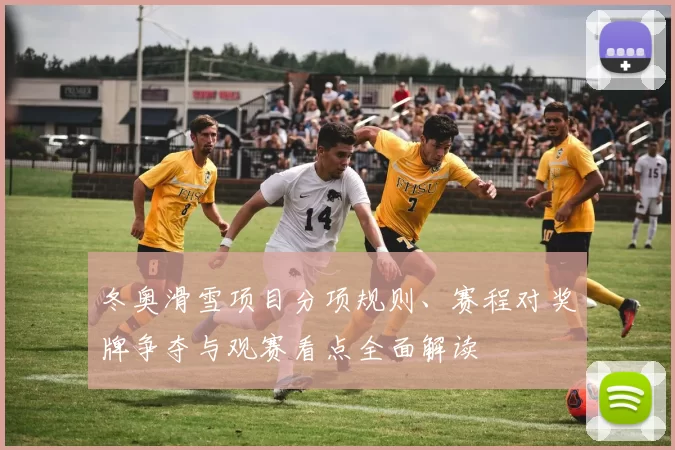 冬奥滑雪项目分项规则、赛程对奖牌争夺与观赛看点全面解读